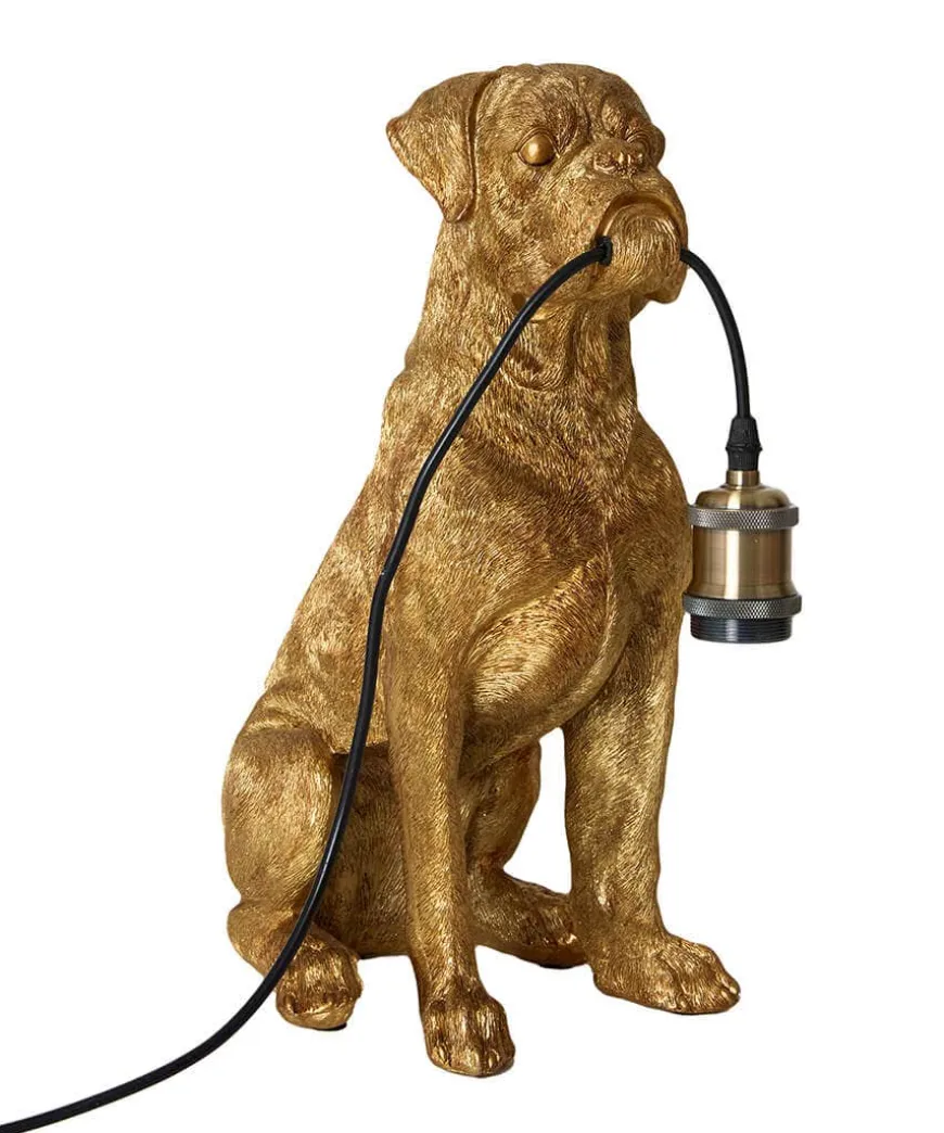 Brilliant Boxer Table Lamp